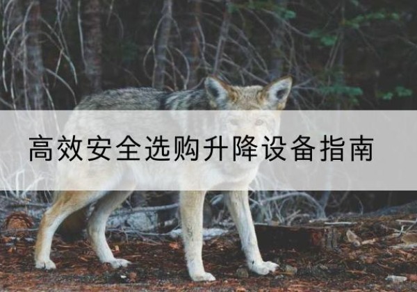 利津升降货梯厂家推荐-*安全选购升降设备指南