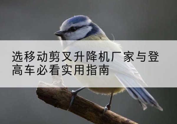 利津电动升降机厂家-选移动剪叉升降机厂家与登高车必看实用指南