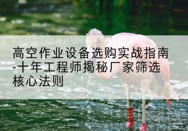 利津剪叉式升降机厂家-高空作业设备选购实战指南-十年工程师揭秘厂家筛选核心法则